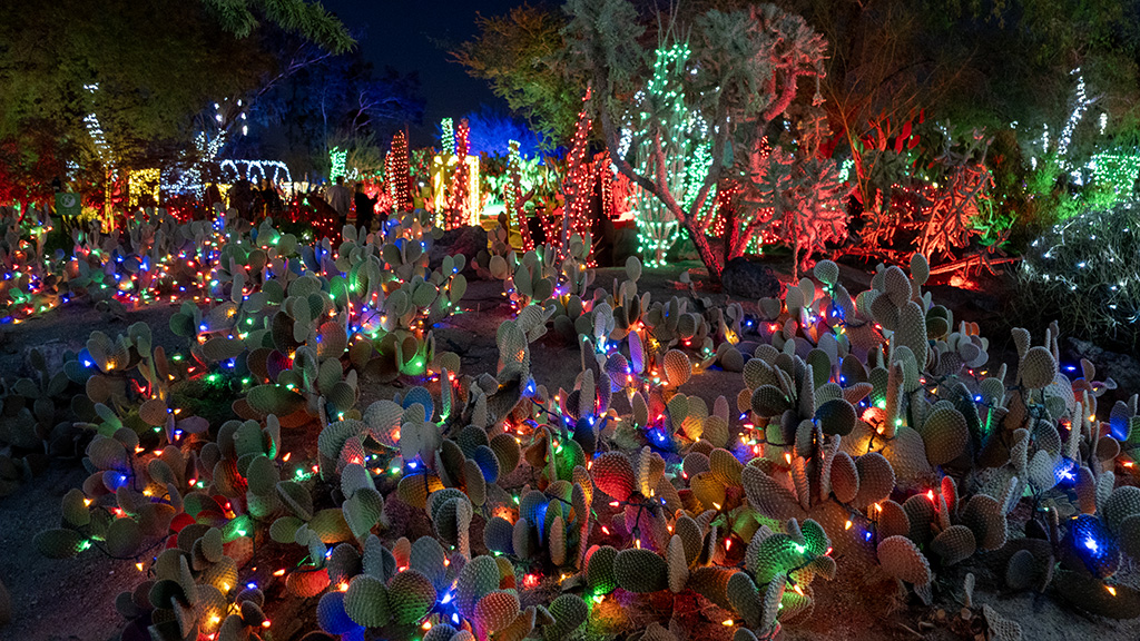 Hello, Ethel M Chocolates Factory & Cactus Garden in Henderson, Nevada |  Adam Parkzer  Parkzer.com